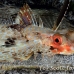 gurnard_helmet_sb_gld_h_0030_kom1647.jpg